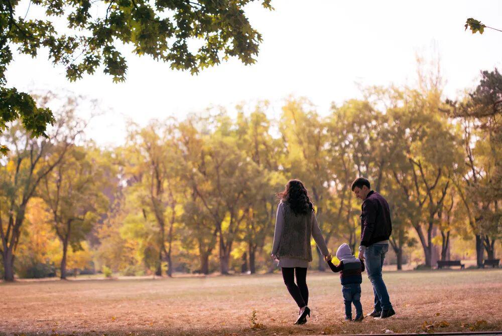 华体育官方-一个家庭要向上走，一定要避谶，避旧，避人
